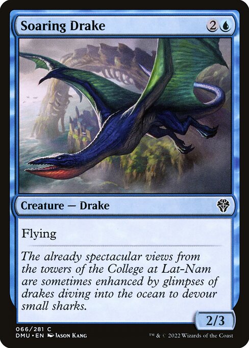 Soaring Drake 66