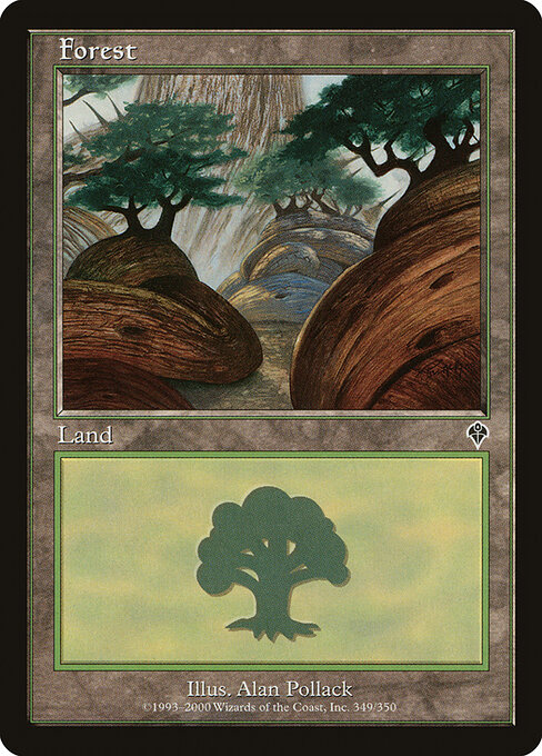 Forest 349