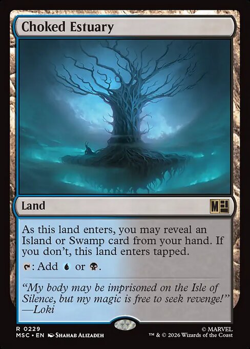 Choked Estuary 229