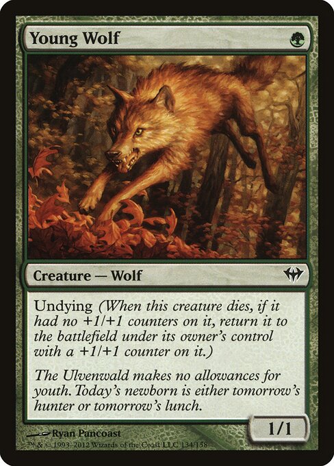 Young Wolf 134