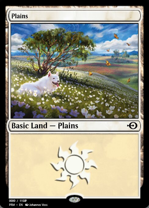 Plains 81832