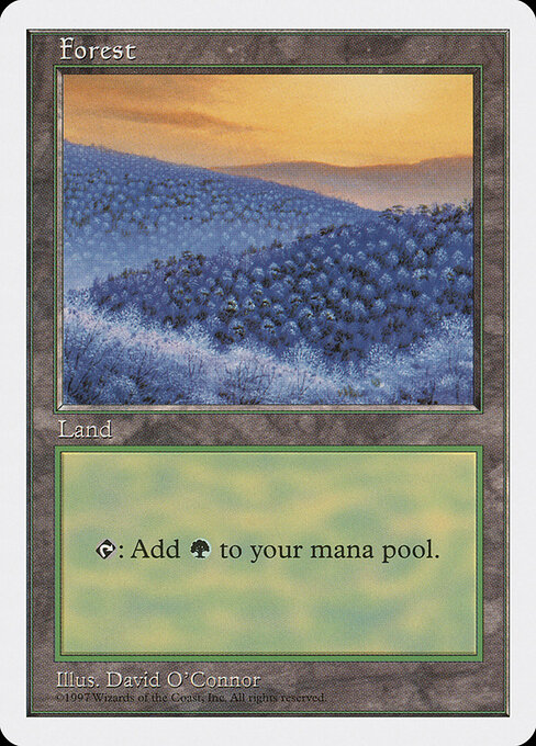Forest 449