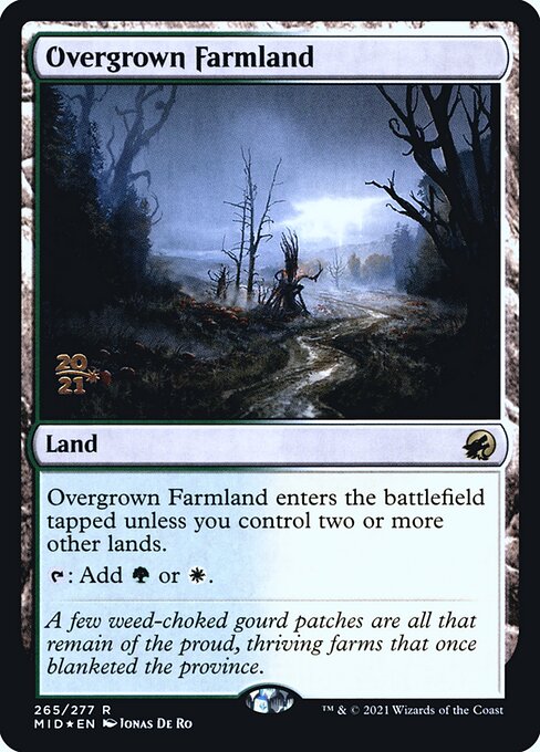 Overgrown Farmland 265s