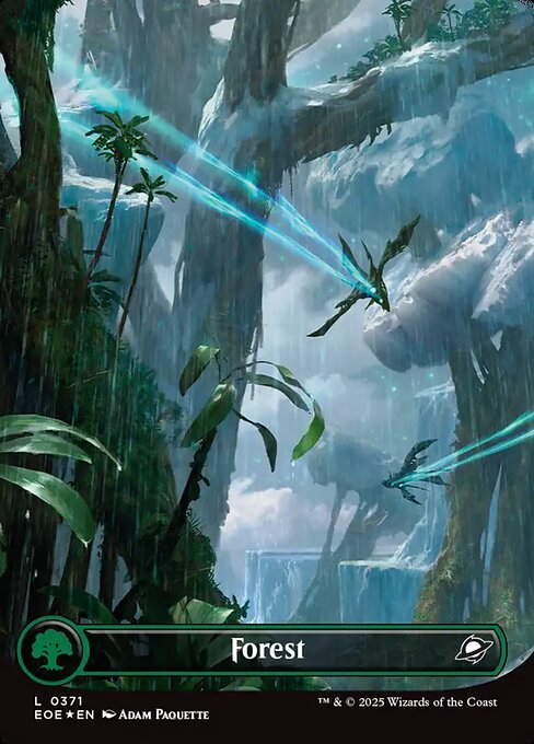 Forest 371