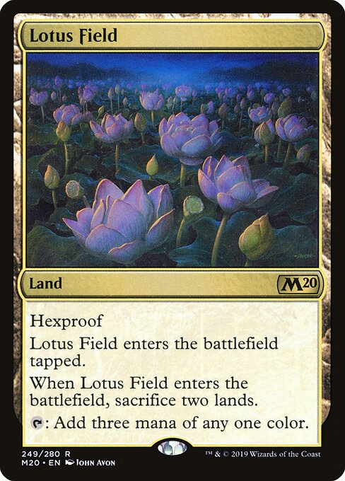 Lotus Field 249