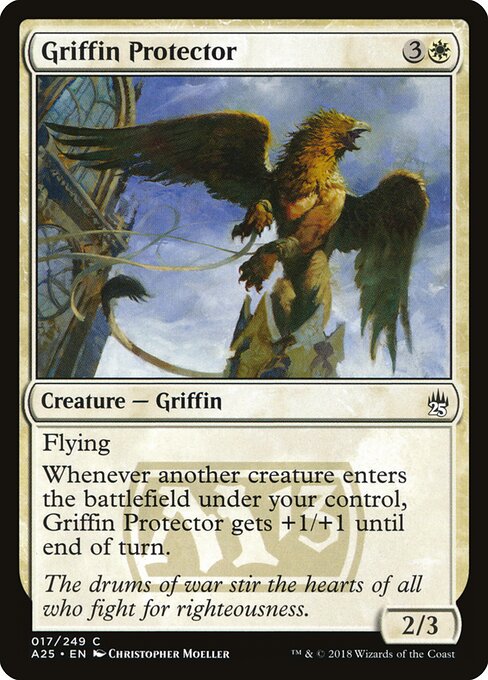 Griffin Protector 17