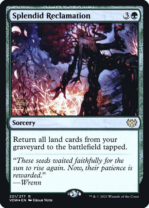 Splendid Reclamation 221s
