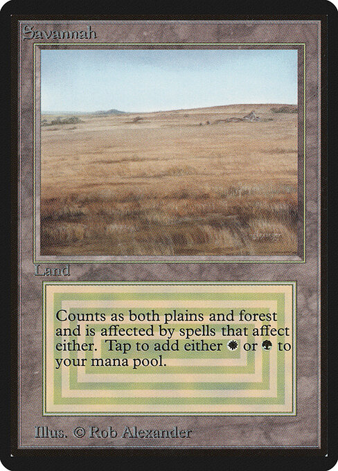Savannah 281