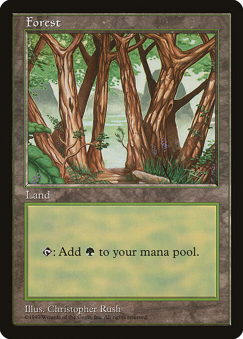 Forest 6