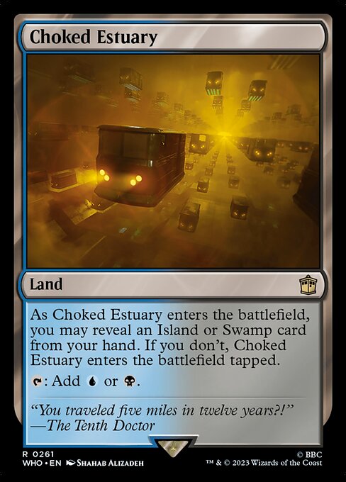 Choked Estuary 261