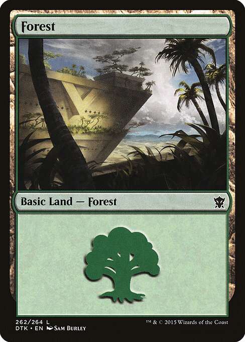 Forest 262