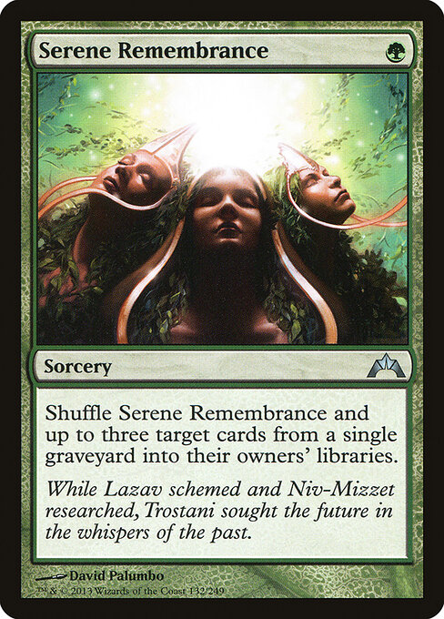 Serene Remembrance 132