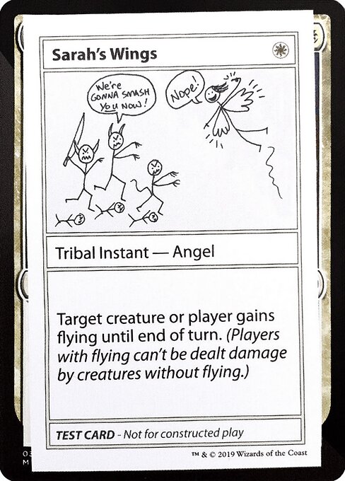 Sarah's Wings 11