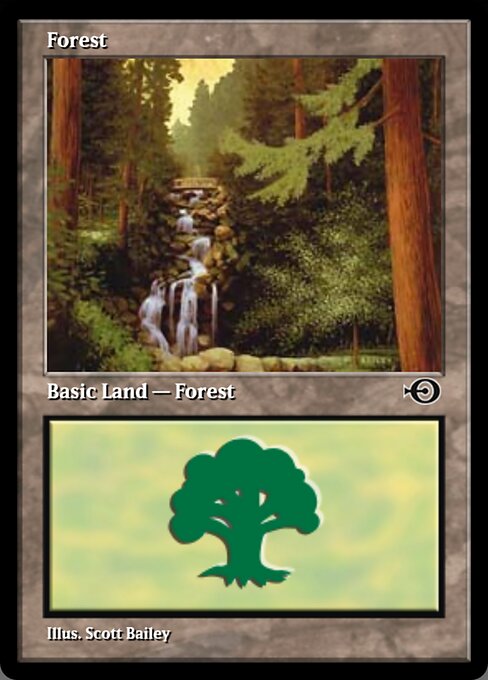 Forest 293
