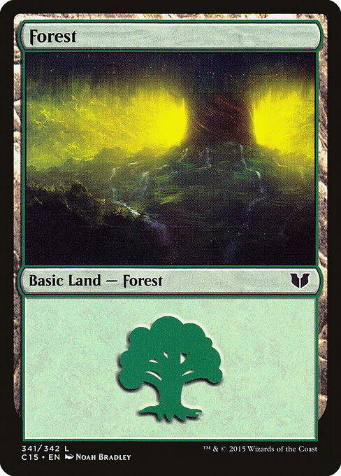 Forest 341
