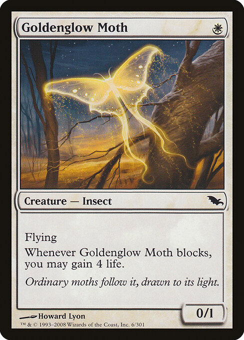 Goldenglow Moth 6