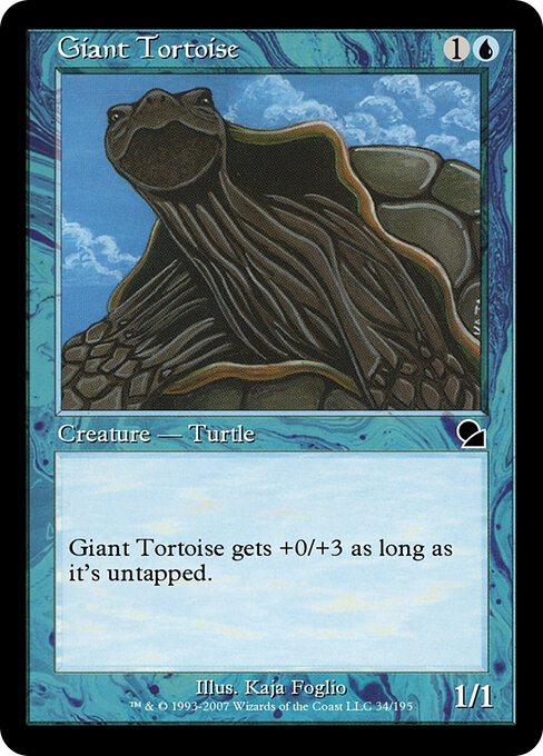 Giant Tortoise 34