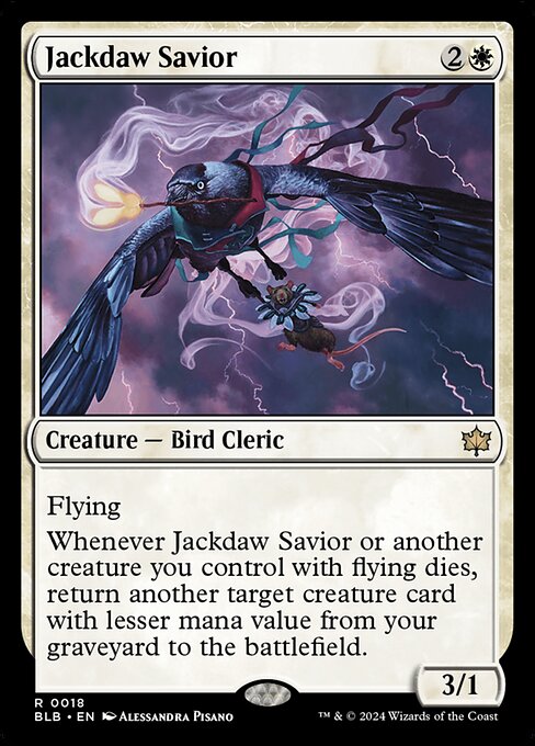 Jackdaw Savior 18