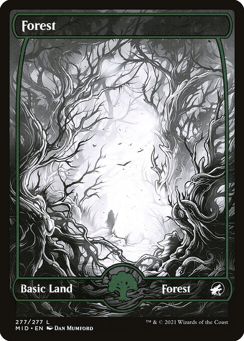 Forest 277