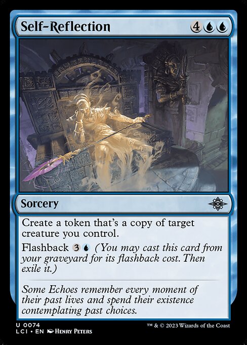 Self-Reflection 74
