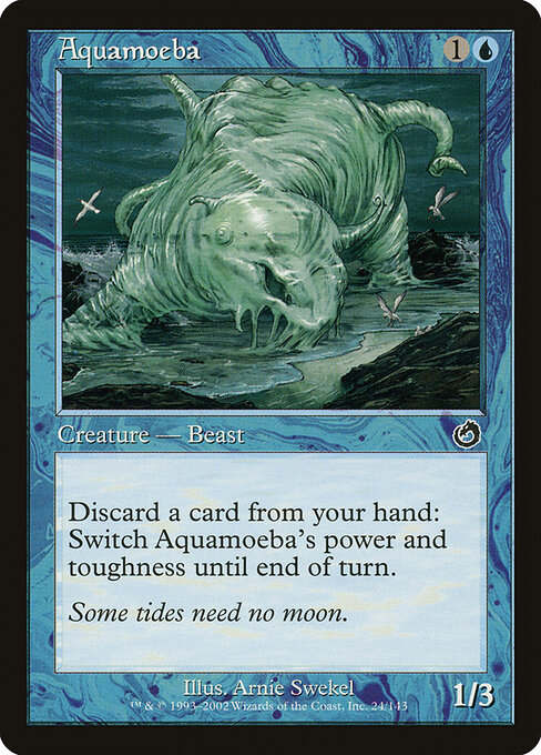 Aquamoeba 24