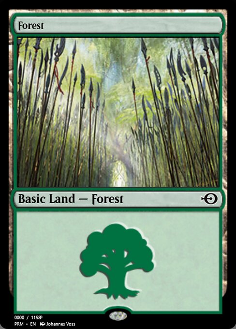 Forest 81874