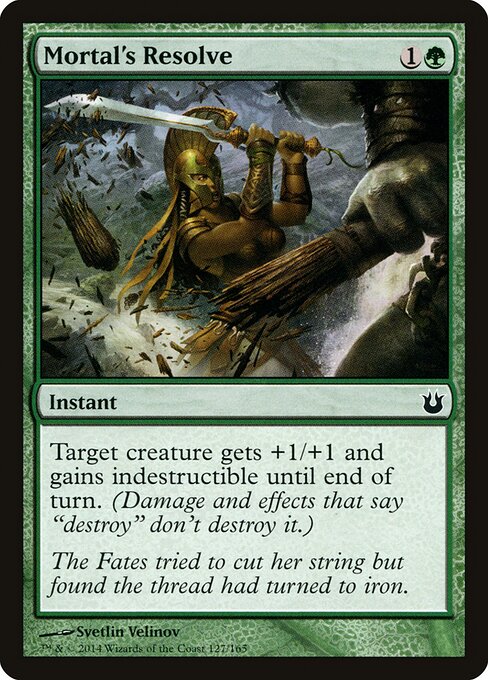 Mortal's Resolve 127