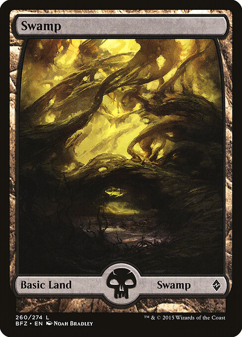 Swamp 260