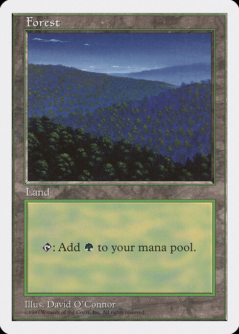 Forest 447