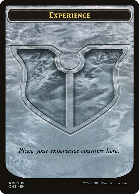 Experience 19