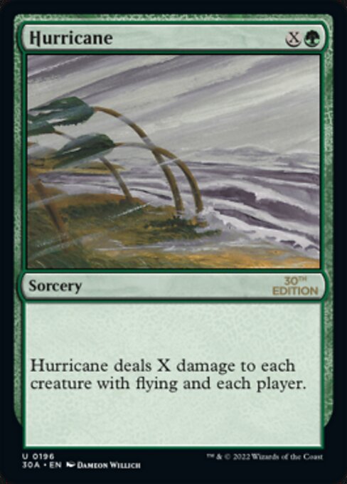 Hurricane 196