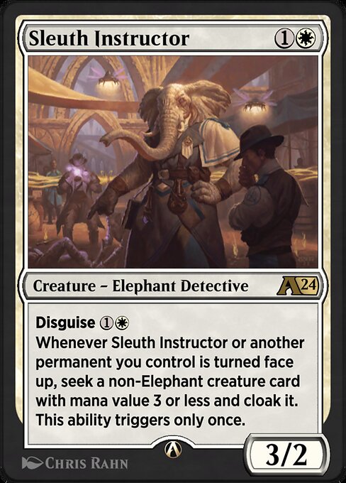 Sleuth Instructor 2