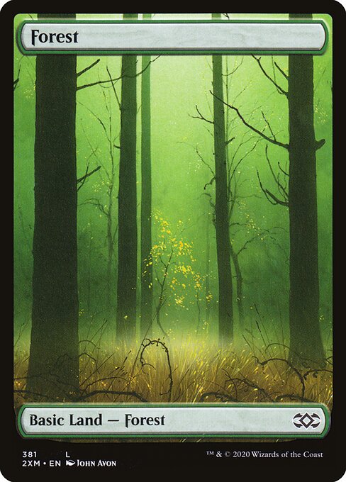 Forest 381
