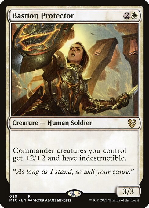 Bastion Protector 80