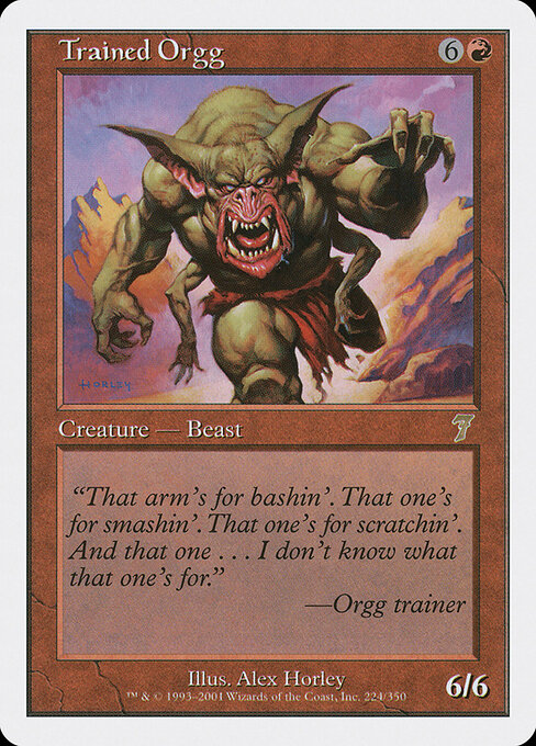 Trained Orgg 224