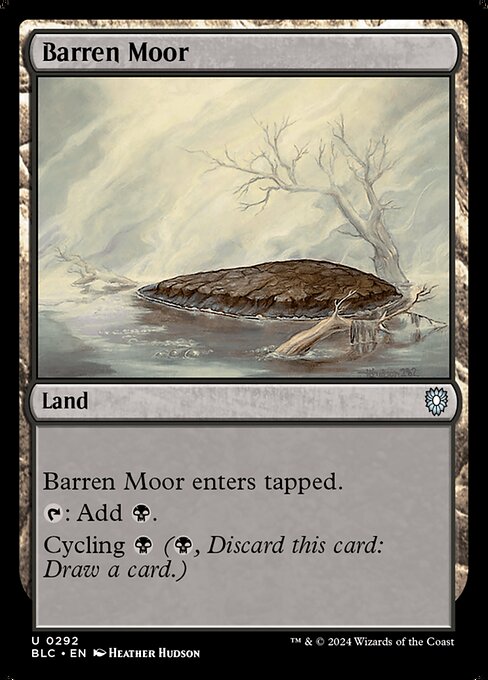 Barren Moor 292