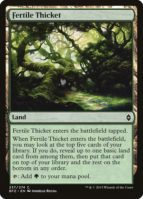 Fertile Thicket 237