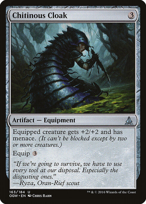 Chitinous Cloak 163