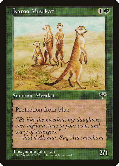Karoo Meerkat 225