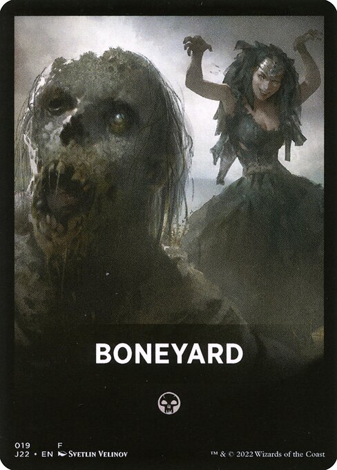 Boneyard 19