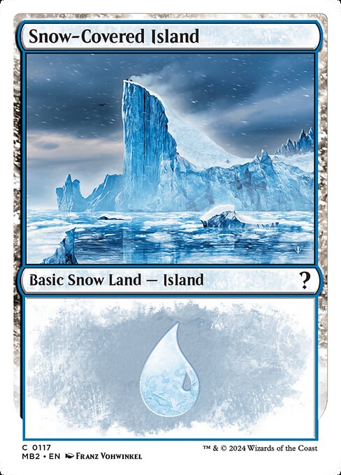 Snow-Covered Island 117