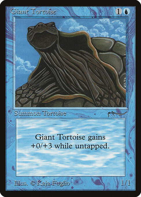 Giant Tortoise 15†