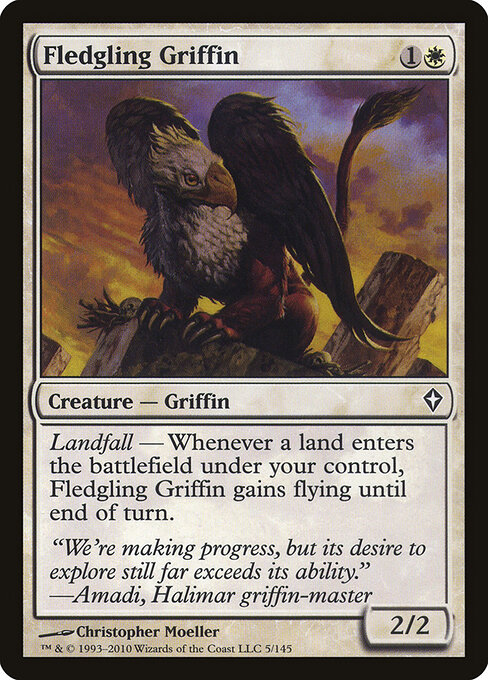 Fledgling Griffin 5