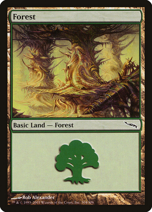 Forest 304