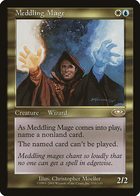 Meddling Mage 116
