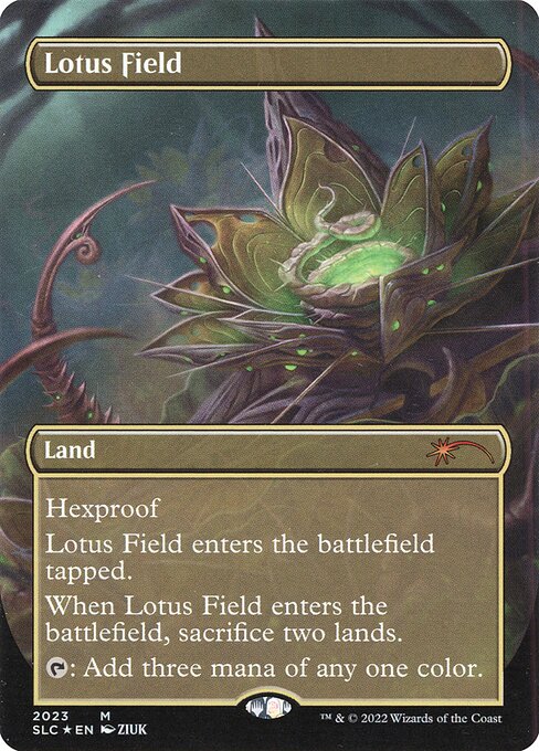 Lotus Field 2023