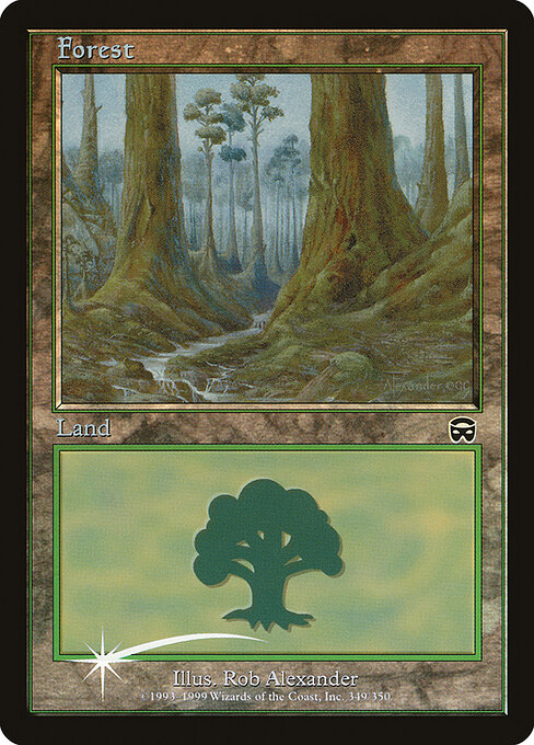 Forest 12