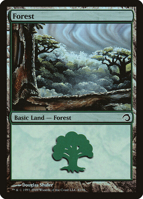 Forest 41