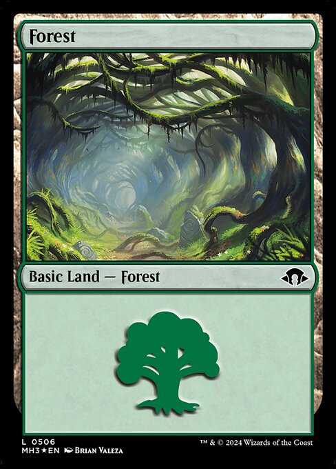 Forest 506