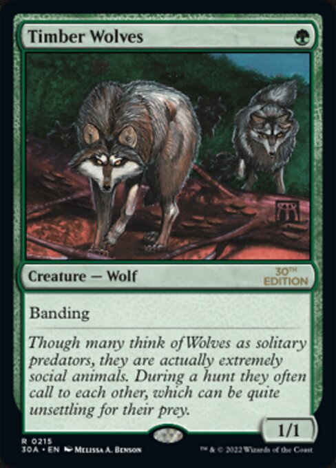 Timber Wolves 215